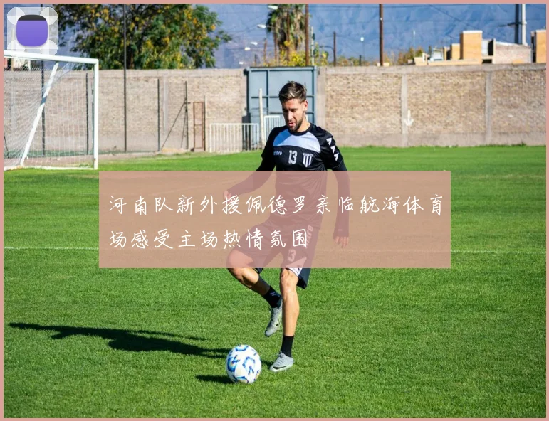 河南队新外援佩德罗亲临航海体育场感受主场热情氛围